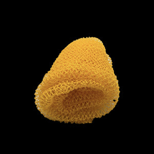 Hard African Net Sponge (Sapor)